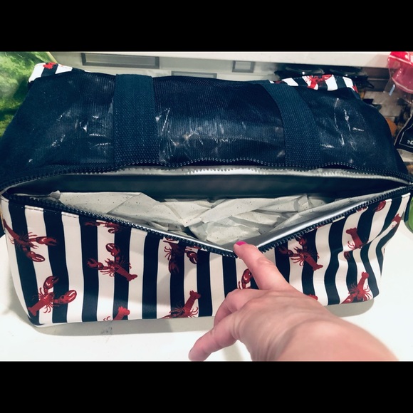 New Beach Tote with Cooler! OSFA - Picture 3 of 8